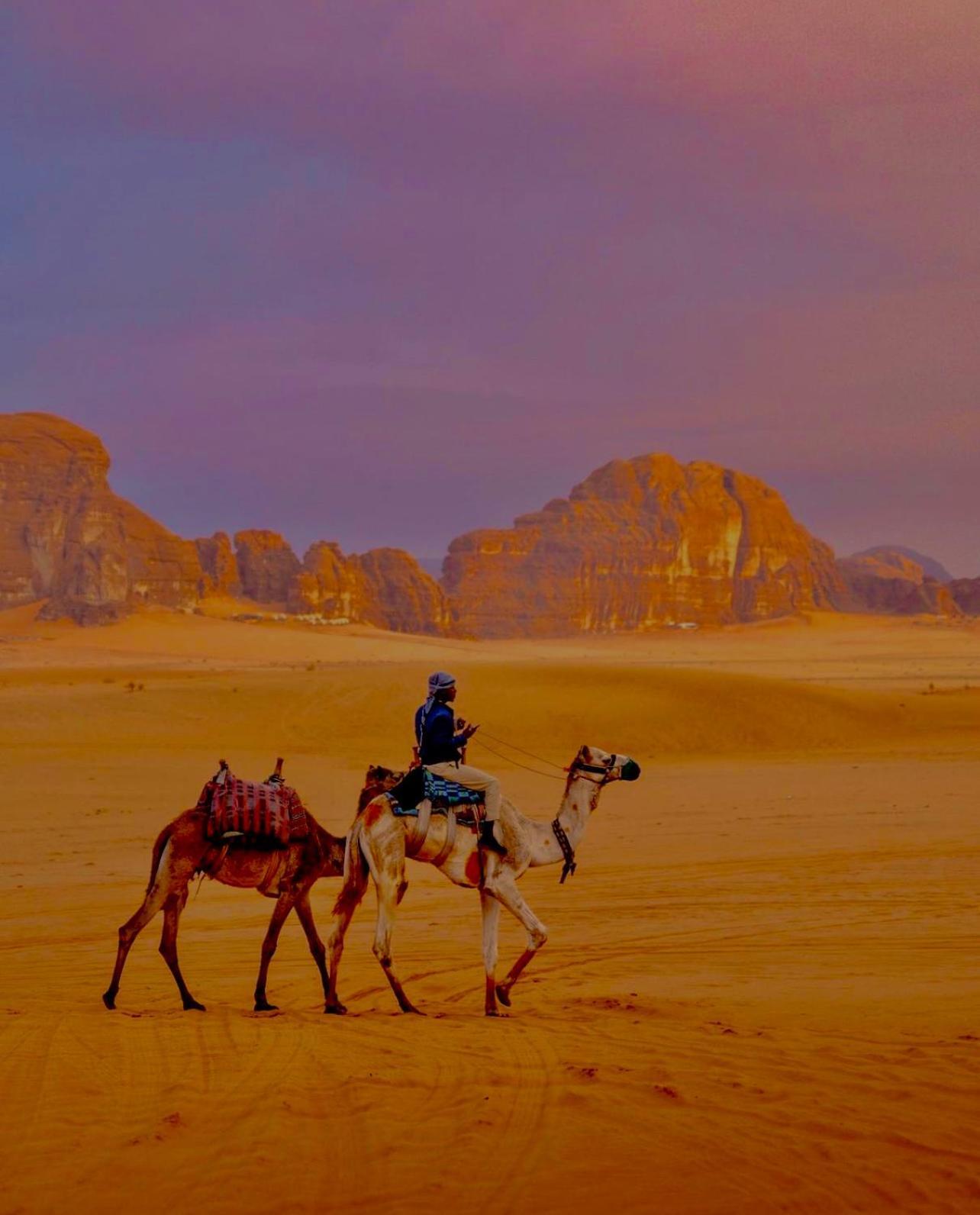 Hidden Wadi Rum Camp Экстерьер фото